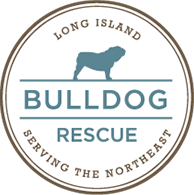 Long Island Bulldog Rescue